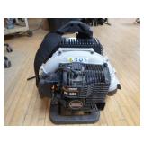 Echo Backpack Power Blower