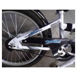 Co Pilot Ride along Bike