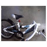 Co Pilot Ride along Bike