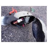 Size 10 Cowboy Boots, Vintage Ice Skates, Motorized Duck Decoy and Duck Decoy with Weight