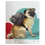 Dog Leash, Treat Bag and Backpack for Dogs