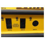 DeWalt 4300 Watt Gas Generator DG4300
