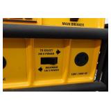 DeWalt 4300 Watt Gas Generator DG4300