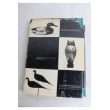 American Bird Decoys by William J. Mackey Jr. - 1965 Edition