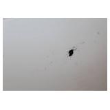 Used Refrigerator with Top Freezer