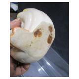 Royal Copley, Planters