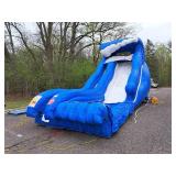 Wild Wave Jr. Water Slide Inflatable