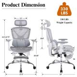 LuxErgo Ergonomic Mesh Office Chair