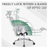 LuxErgo Ergonomic Mesh Office Chair