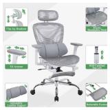 LuxErgo Ergonomic Mesh Office Chair