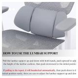 LuxErgo Ergonomic Mesh Office Chair