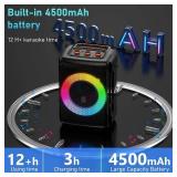 HWWR Karaoke Machine with 2 Microphones