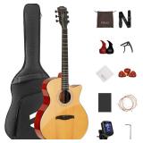 Fesley X 41" Acoustic Guitar Kit for Beginners