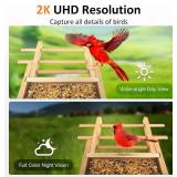 PeckCam Smart Bird Feeder with Camera (Black Roof)