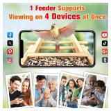 PeckCam Smart Bird Feeder with Camera (Black Roof)