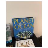 Collection of Informative and Entertaining Animal and Nature Books