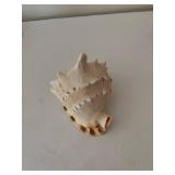 Collection of 5 Decorative Seashells