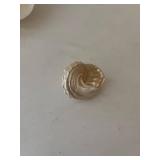 Collection of Seashells and Starfish Decor