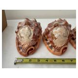 Set of 4 Carved Cameo Conch Seashells