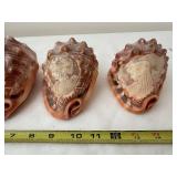 Set of 4 Carved Cameo Conch Seashells