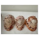 Set of 3 Vintage Cameo Conch Seashells with Carved Creations