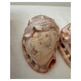 Set of 3 Vintage Cameo Conch Seashells with Carved Creations