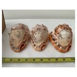 Set of 3 Vintage Cameo Conch Seashells with Carved Creations