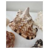 Collection of 7 Assorted Decorative Seashells