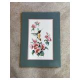 Hummingbird and Flowers Watercolor Art by Carolyn Shores Wright