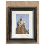Framed Dick Kettlewell Photograph of Mountain Goats