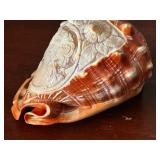 Carved Cameo Conch Shell with Floral and Female Portrait Design