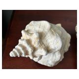 Shell Framed Art Titled "Child Jesus of the Sea" with Decorative Seashell and Starfish Collection