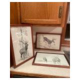 Set of 3 Framed Wildlife Art Prints by Pauline Matthews