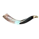 Yemenite Kudu Horn Shofar 16.5"