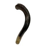 Yemenite Kudu Horn Shofar 16.5"