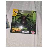 toy car and remote control spider