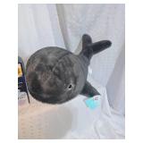 stuffy and story time projector