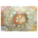 Northwood Three Fruits Aqua Opal Bowl