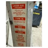 Little Giant Ladder System