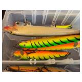 Collection of Assorted Fishing Lures with Storage Case