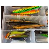 Collection of Assorted Fishing Lures with Storage Case