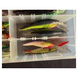 Collection of Fishing Lures in Tackle Box