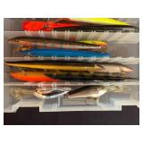 Collection of Fishing Lures in Tackle Box