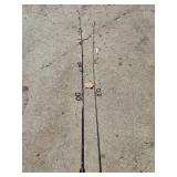 Set of Fishing Rods with Reels - Mitchell 300A and Shimano RX1000