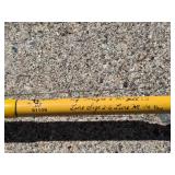 Set of Fishing Rod and Reel Combos - Daiwa Minicast-2 & Berkley Lightning