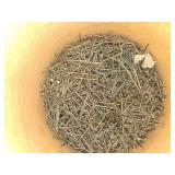 Assorted Industrial Supplies: Nails, Chains, Rope in Metal Buckets