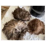 Five Wigs With a Carry Case