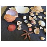 Trip to the Beach Shell Collection