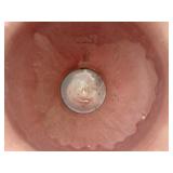 1920 Colorful Weller Planter from the Ohio Pottery Company