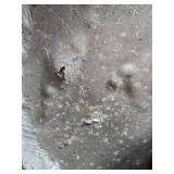 Antique Galvanized Metal Milk Jug with Handle